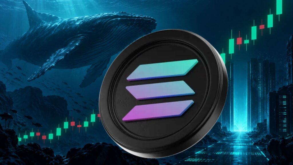 Solana Price Outlook as Whales Buy More SOL Ahead of Network Upgrade