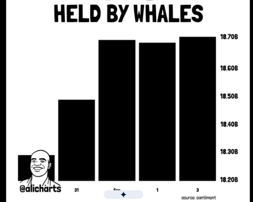 DOGE Whale | Source: X