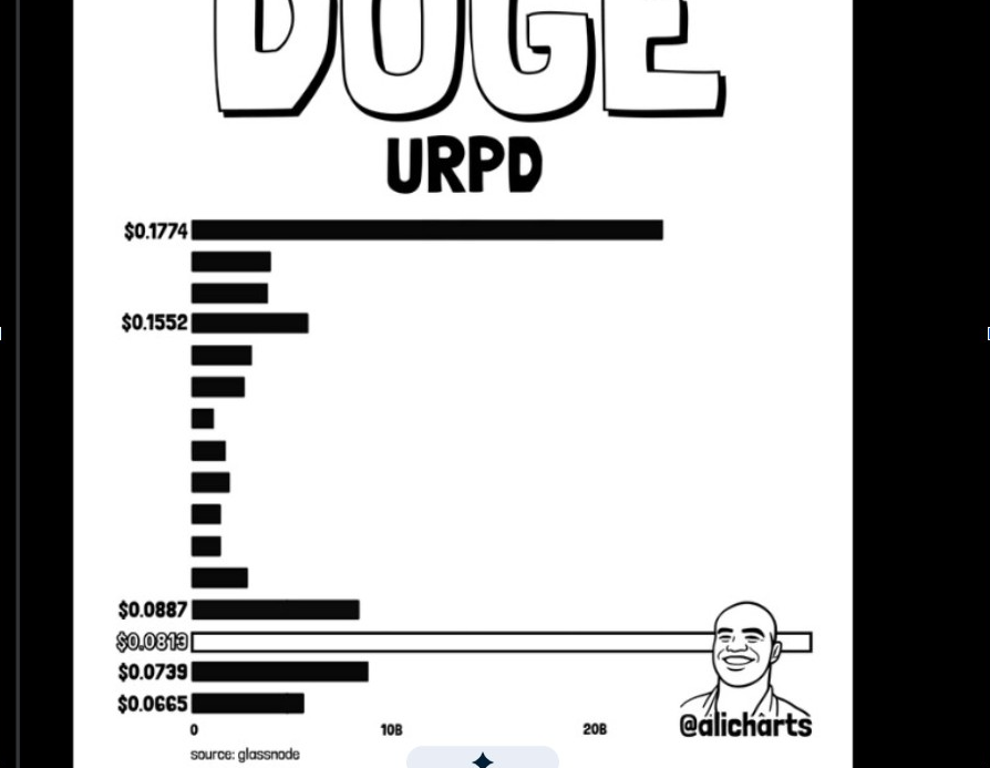 DOGEUSD | Source: X