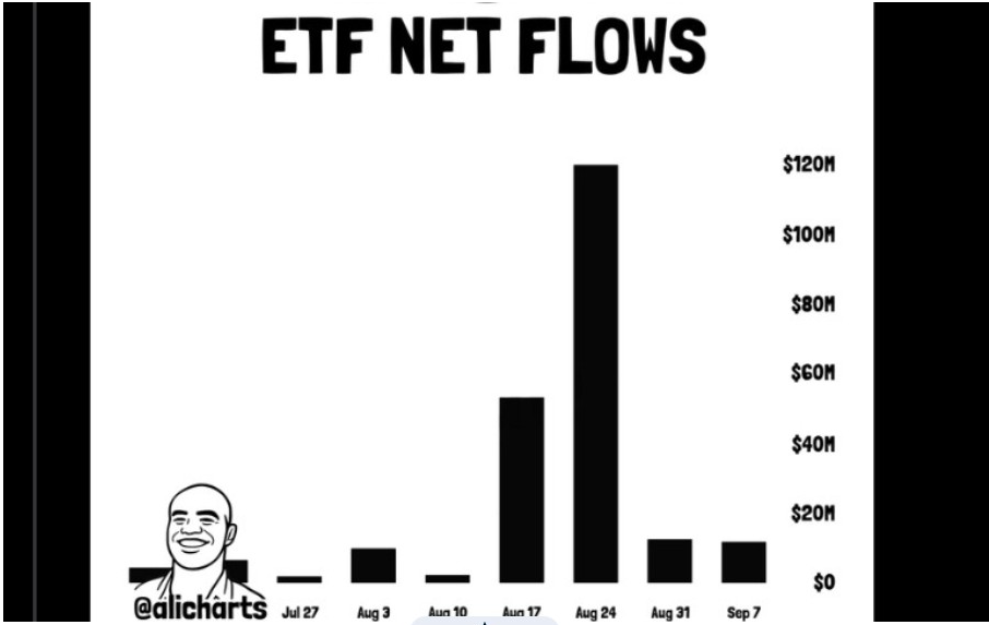 SOL ETF | Source: X