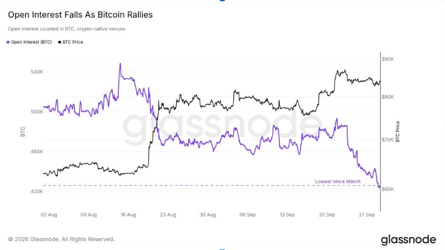 BTC Open Interest (Source: <a href=