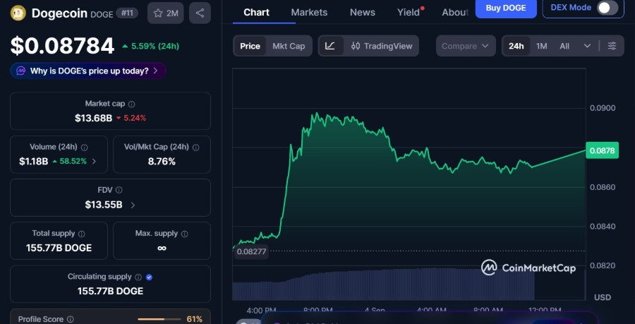 DOGEUSD 1-Day Chart | Source: CMC