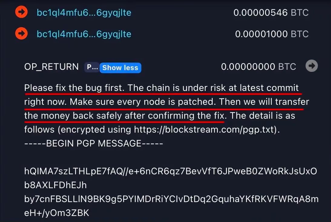 Liquid Network hackers message | Source: Coin Burea