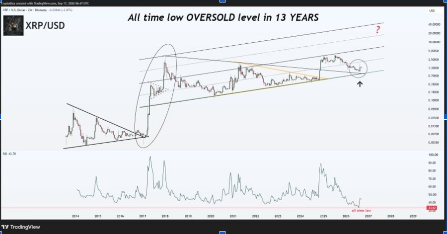 XRPUSD 2-Week Chart | Source: X