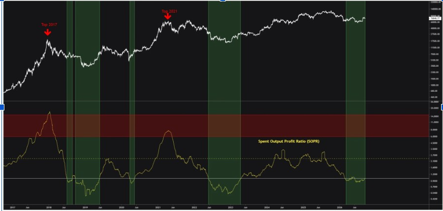 BTC Spent Output Ratio (Source: <a href=