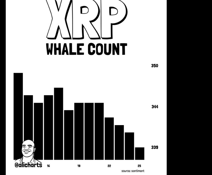 XRP Whale | Source: X