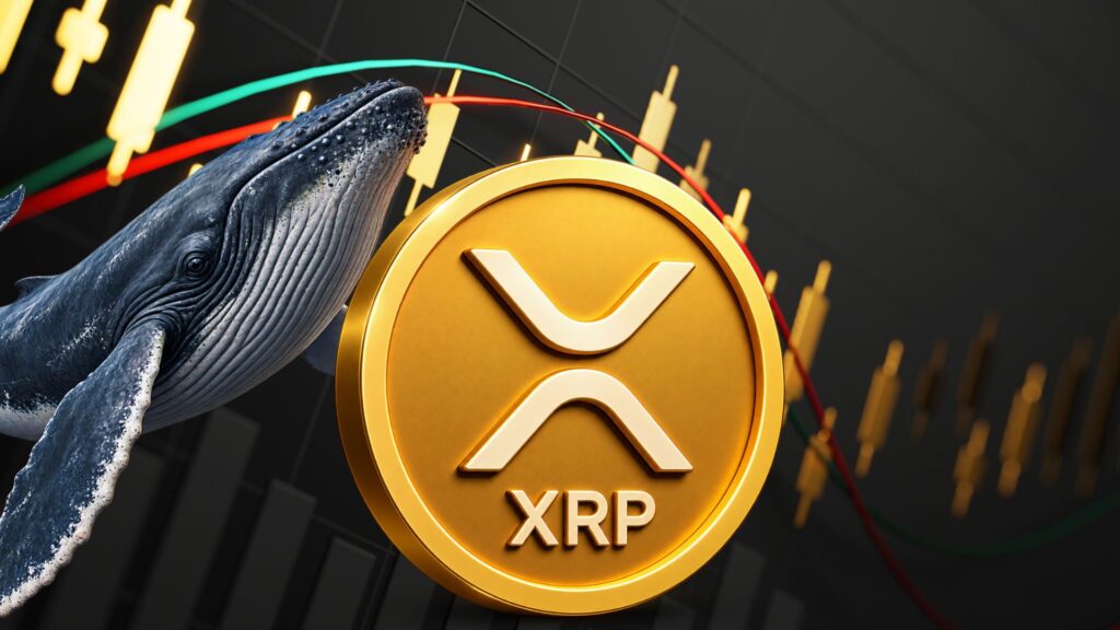 Le cours du XRP risque de chuter de 22 % alors que le nombre de portefeuilles de « baleines » est tombé à 339 en octobre