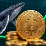 Bitcoin Price Holds This Support as Whales Add 14,335 BTC Since Oct. 1