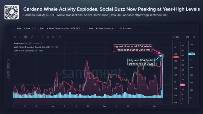 Cardano Whales | Source: Santiments