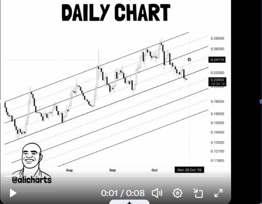 Cardano Kurs-Chart | Quelle: X