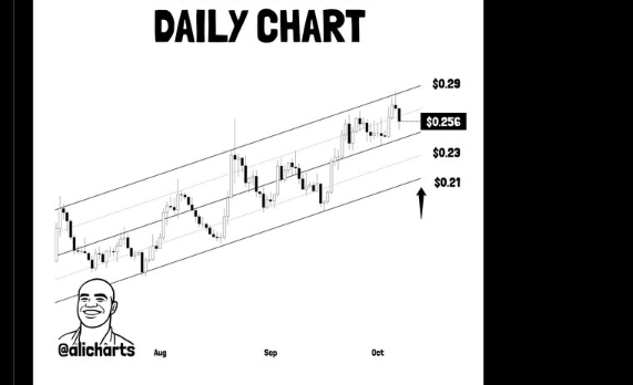ADAUSD Chart | Source: X