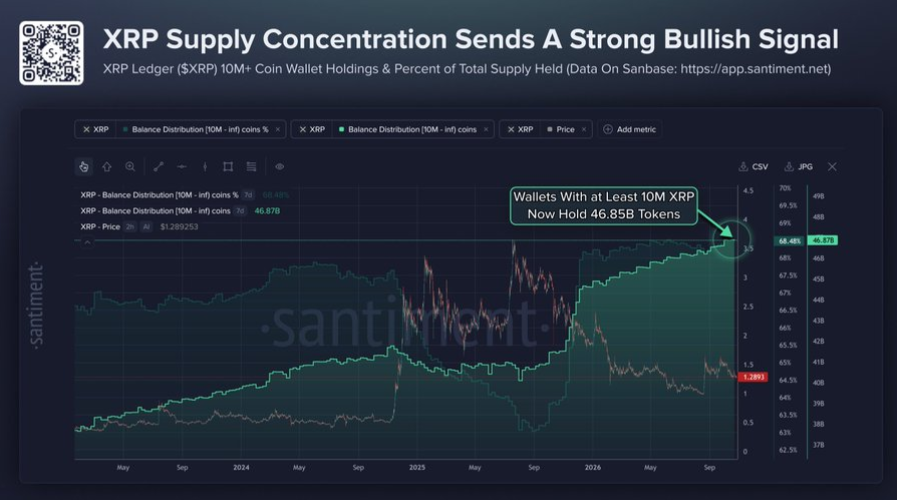 XRP Supply | Source: X