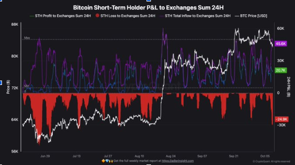 Short-Term Bitcoin Holders | Source: X
