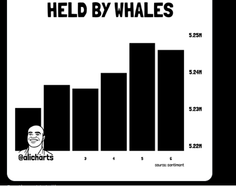 BTC Whale | Source: X