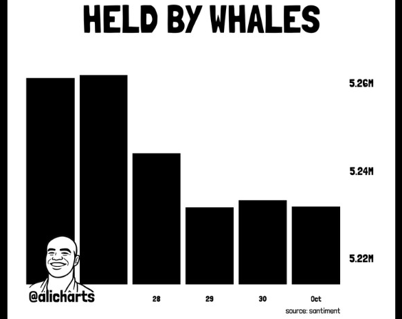 BTC Whale | Source: X