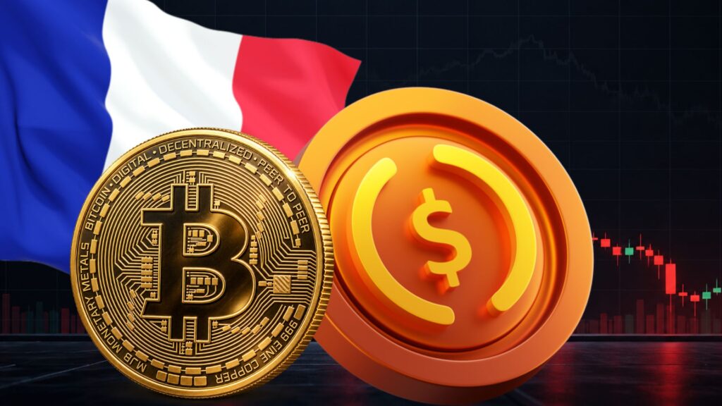 France Crypto Tax Plan Risks Offshore Shift, Chainalysis Warns