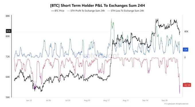 Bitcoin short-term holders | Source: X