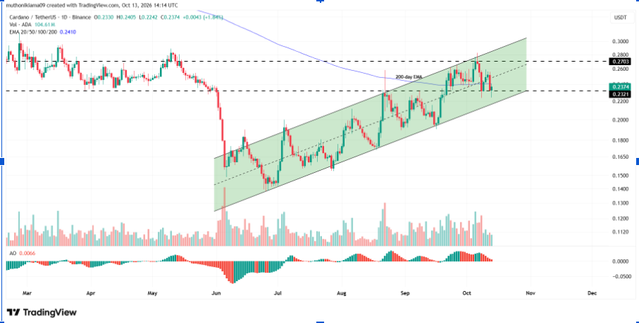 Cardano price 1-Day Chart | Source: TradingView