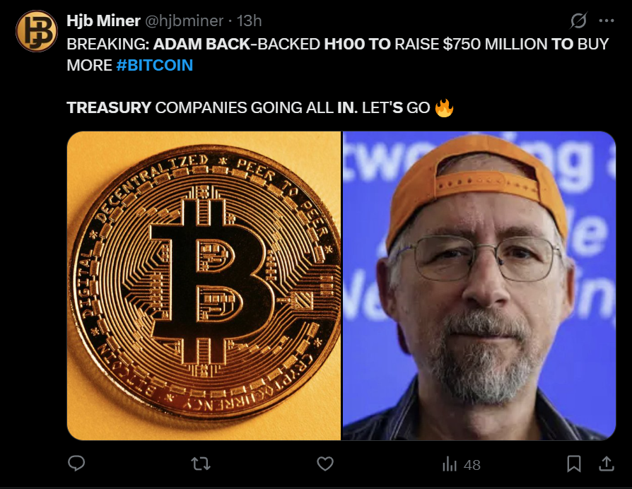 ADAM Rücken