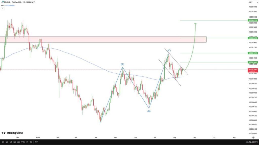 FLOKIUSDT daily price chart