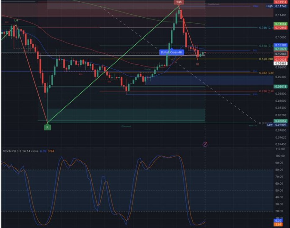 DOGEUSD PERPETUAL FUTURES CHART