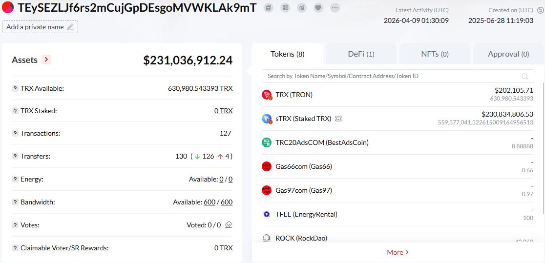 Tron Inc. wallet holdings | Source: TRONSCAN
