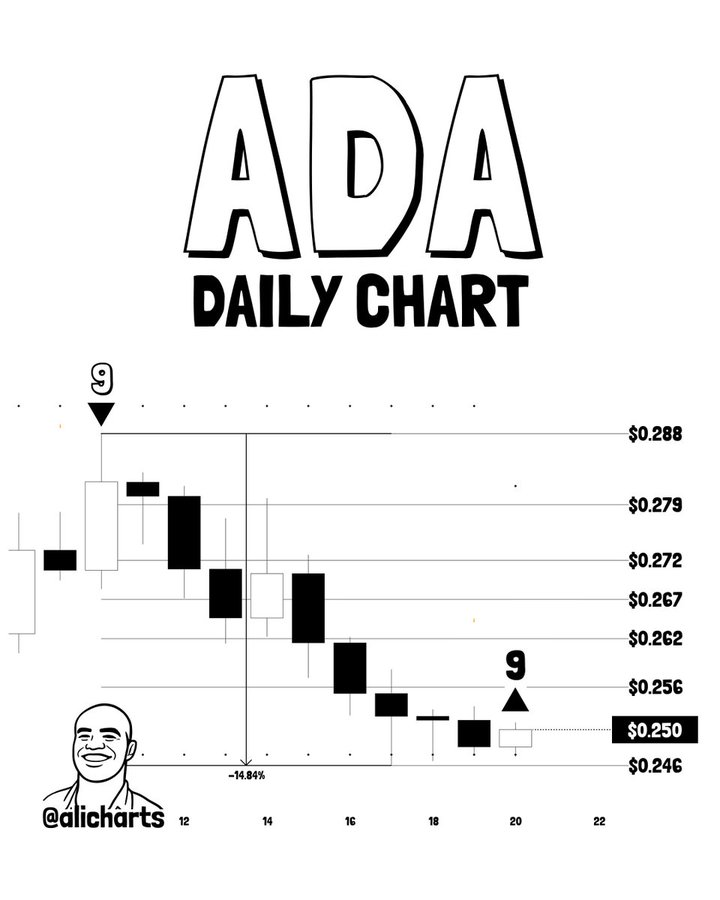 ADA 1-Day Chart | Source: X