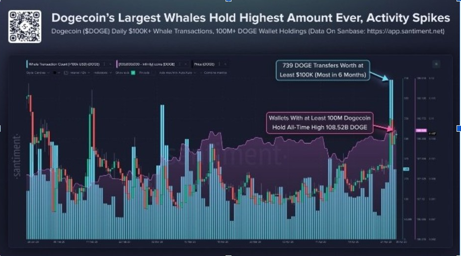 Dogecoin Whale Activity | Source: Santiment Data