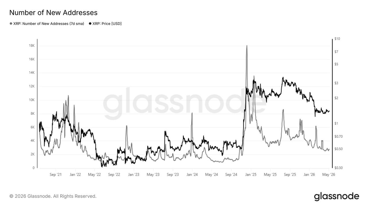 New XRP Addresses Fall 85% as Speculative Interest Wanes.