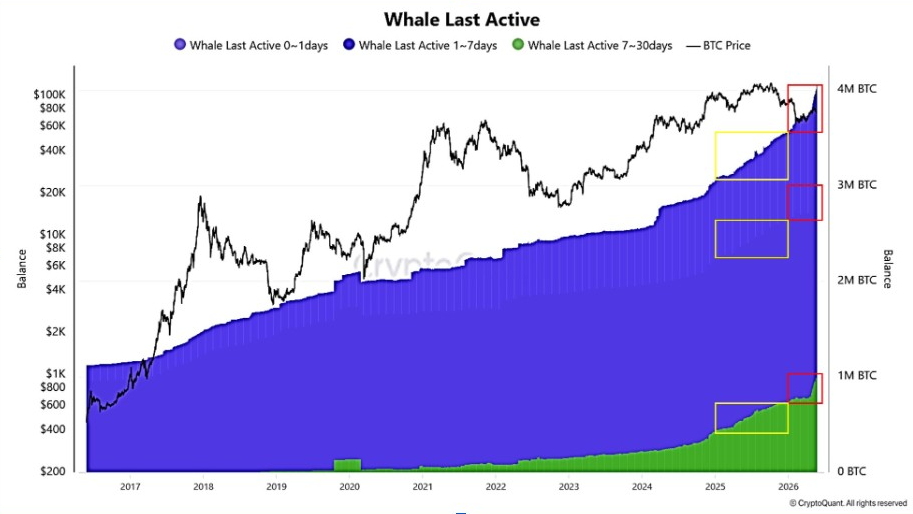 Whale Last Active | Source: CryptoQuant Data