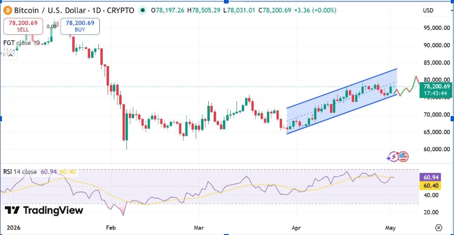 BTCUSD Daily Chart | Source: TradingView
