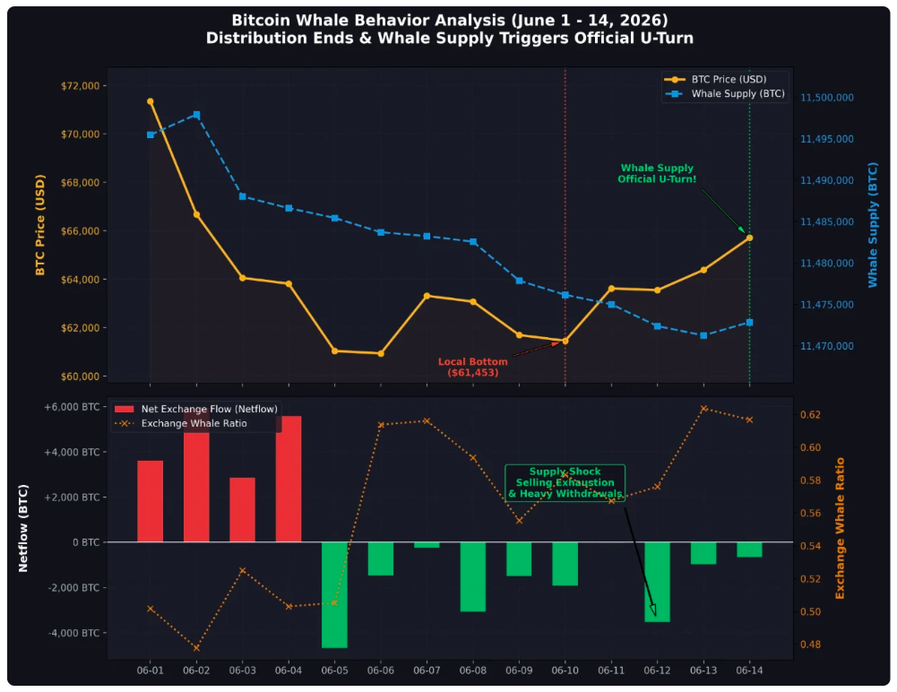 Source: CryptoQuant