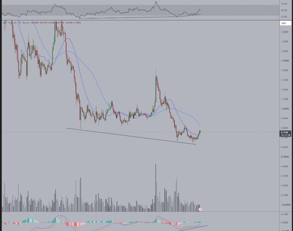 SUI Price Builds Bullish Setup as Analysts Eye $1.40 Recovery